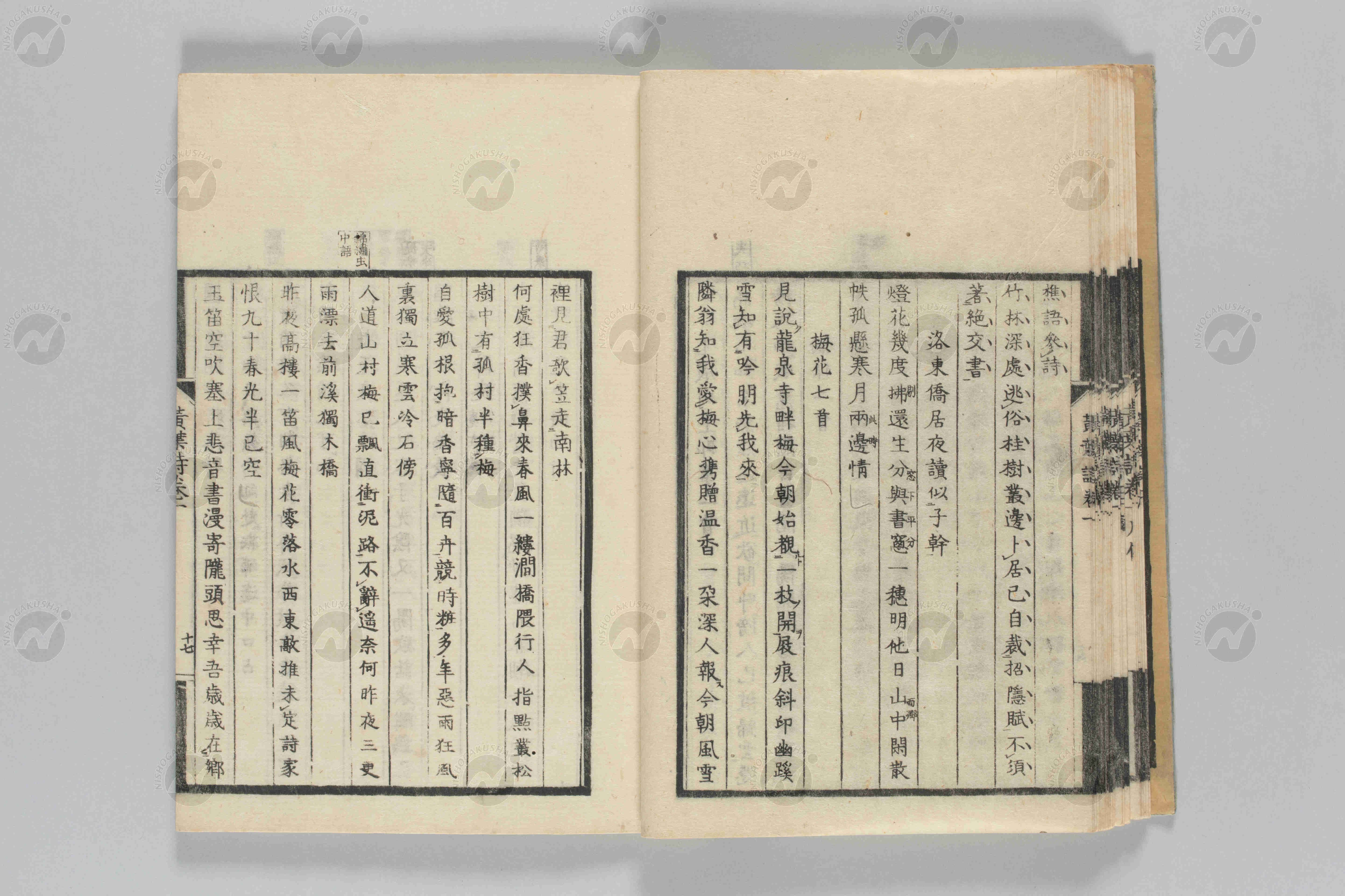 一昨昨夜