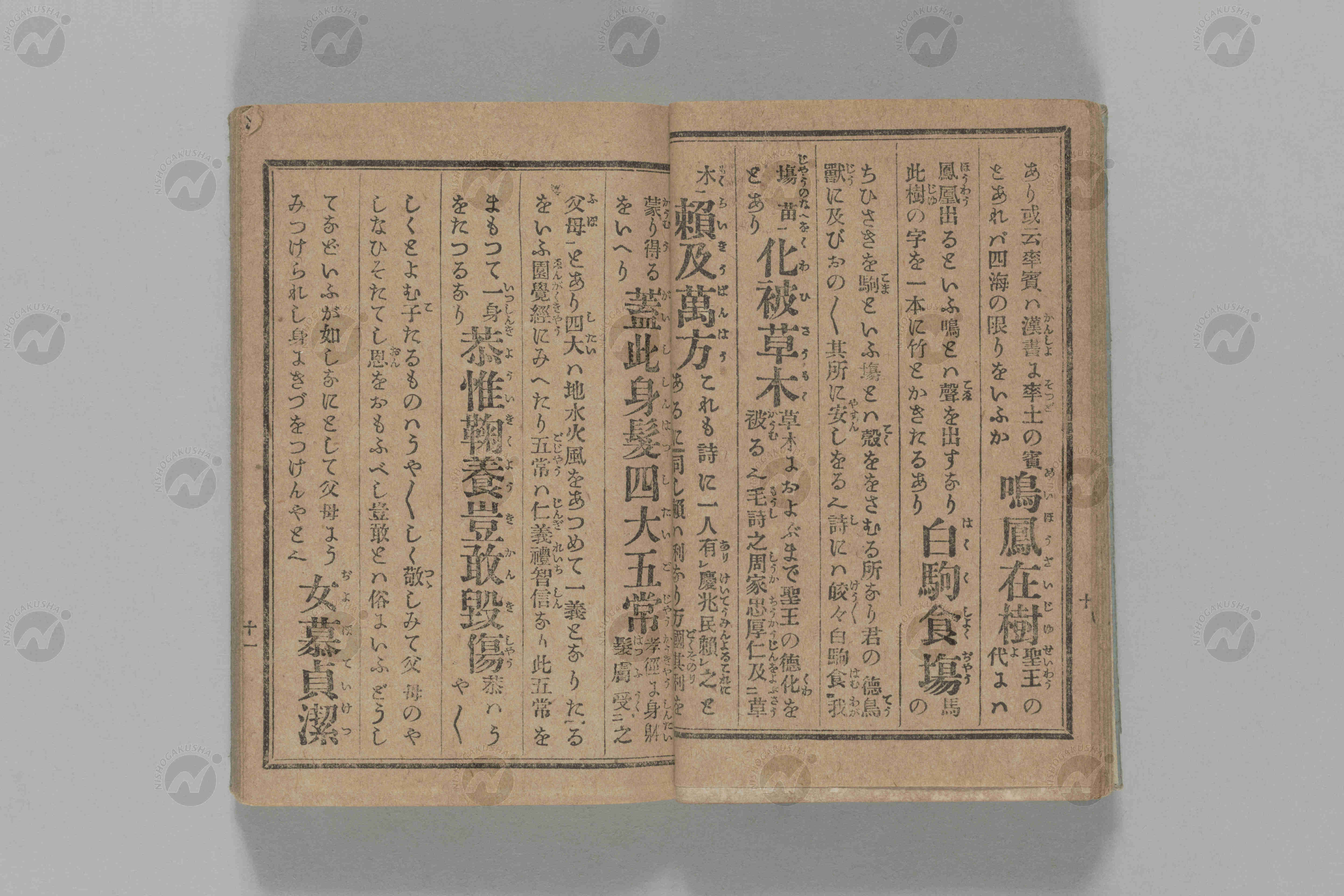 0393ab-1_0008.jpg